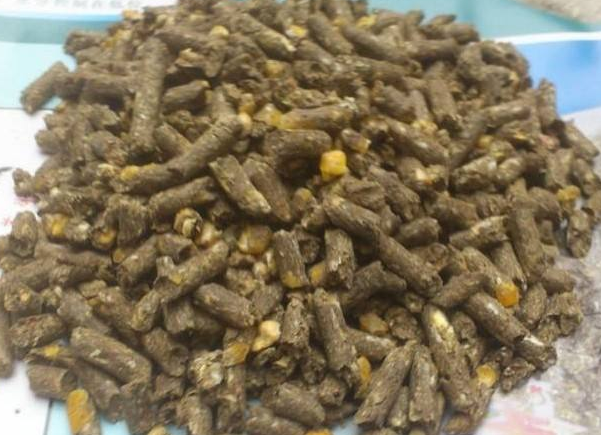 饲养鸭子的需要注意的6项有哪些