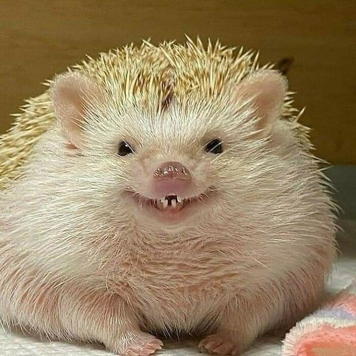 憨憨陪我玩我的新耳机怎么样母子同心异鬼温暖纯真