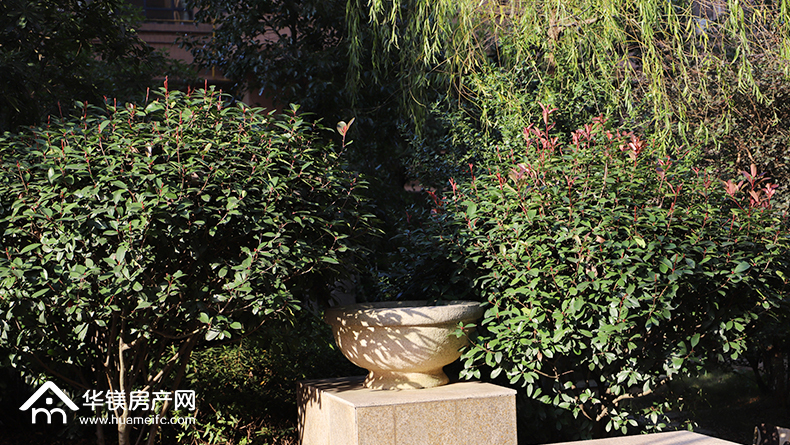 什么是面签，要注意什么？