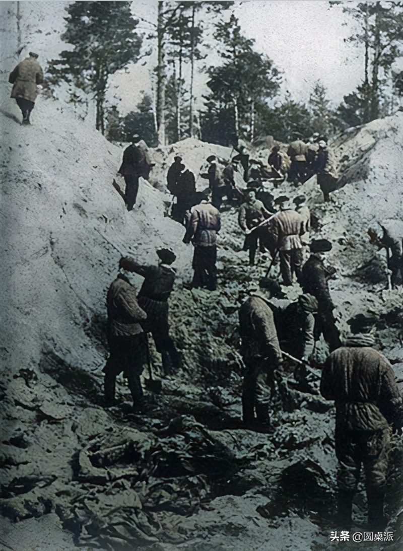 卡廷森林事件：苏联逮捕了25万波兰俘虏，为什么只对这2万人下毒手。