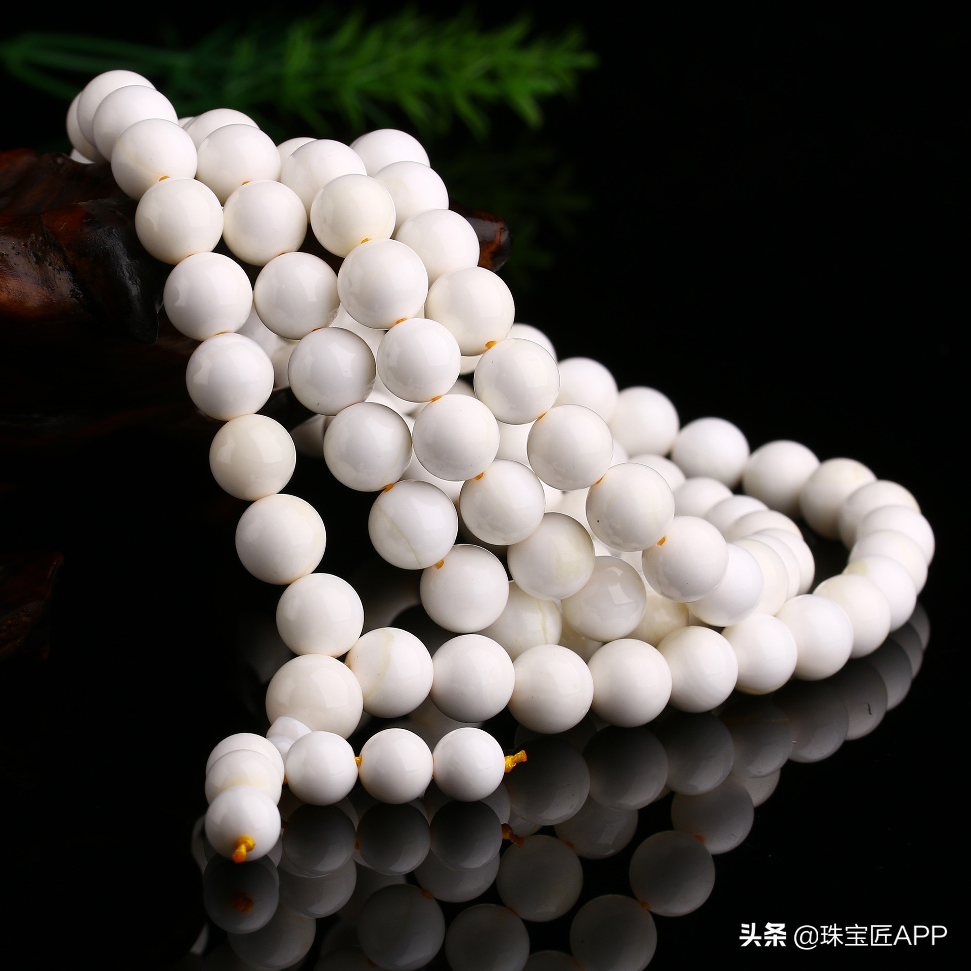 这4种能做珠宝的贝壳你都认识吗？贝壳珠宝大盘点第2弹