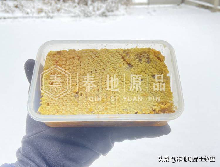 土蜂蜂巢蜜比土蜂蜜贵那么多，原因是蜂巢的这个区域