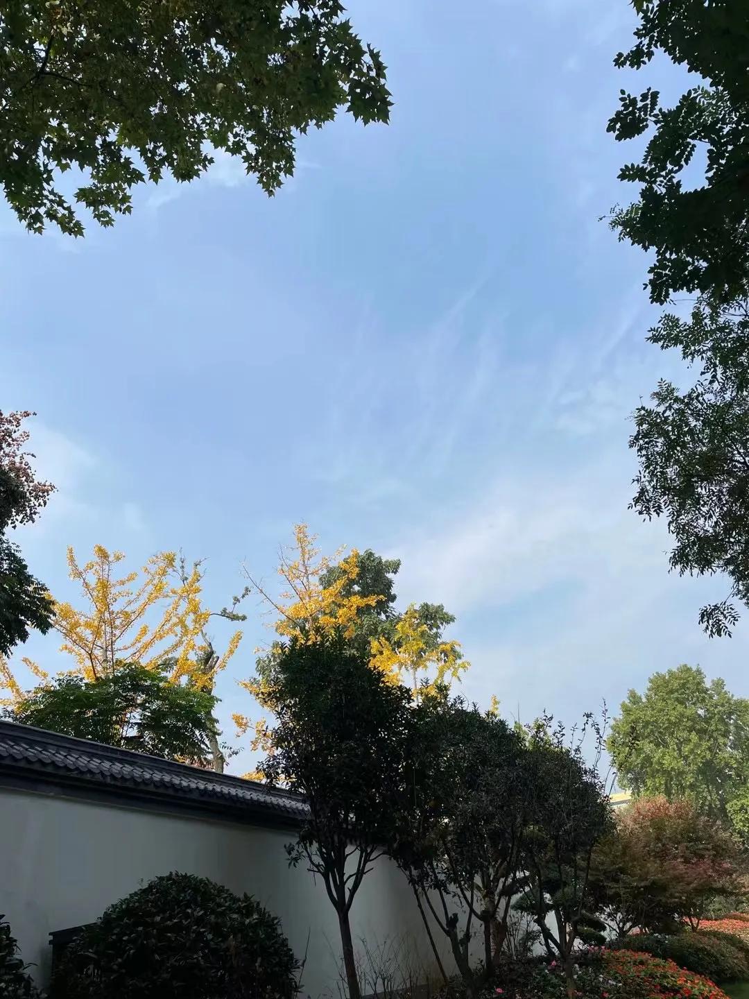 æ‚Ÿç©ºé—®ç&shy;”ï¼šé—®ç&shy;”è‡ªåª’ä½“ä»…æ¬¡äº�çŸ¥ä¹�çš„å¤©èŠ±æ�¿ï¼Œå¯¹æ–°äººå¾ˆå�‹å¥½