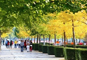 6个专业通过工程教育认证！陕西这所高校跻身“全国百强”