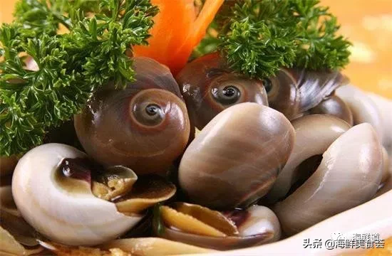 市场常见的102种海鲜，肉质鲜美，营养丰富，你们吃过几种？