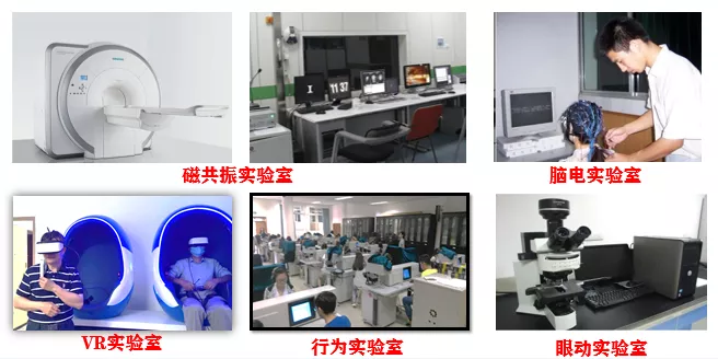第②期 |西南大学国家级一流本科专业介绍