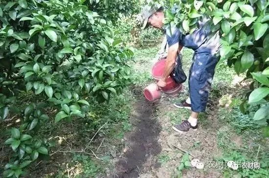 冬肥备了吗？80元一包还包邮的大牌有机生物菌肥来看看