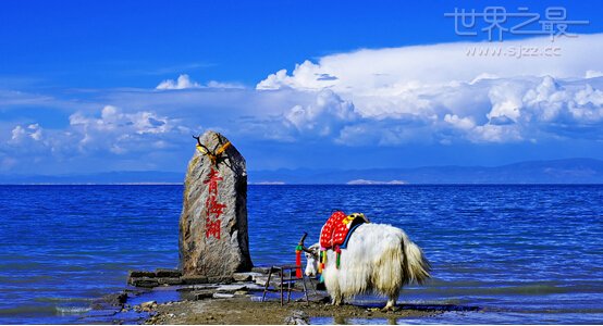 最大的咸水湖是什么湖(中国五大咸水湖，青海湖是我国最大的咸水湖)