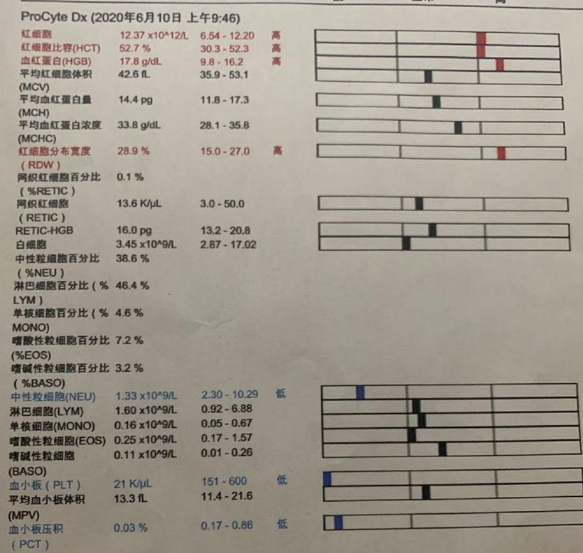 从2000到499，英短蓝猫波波亚的坎坷绝育记