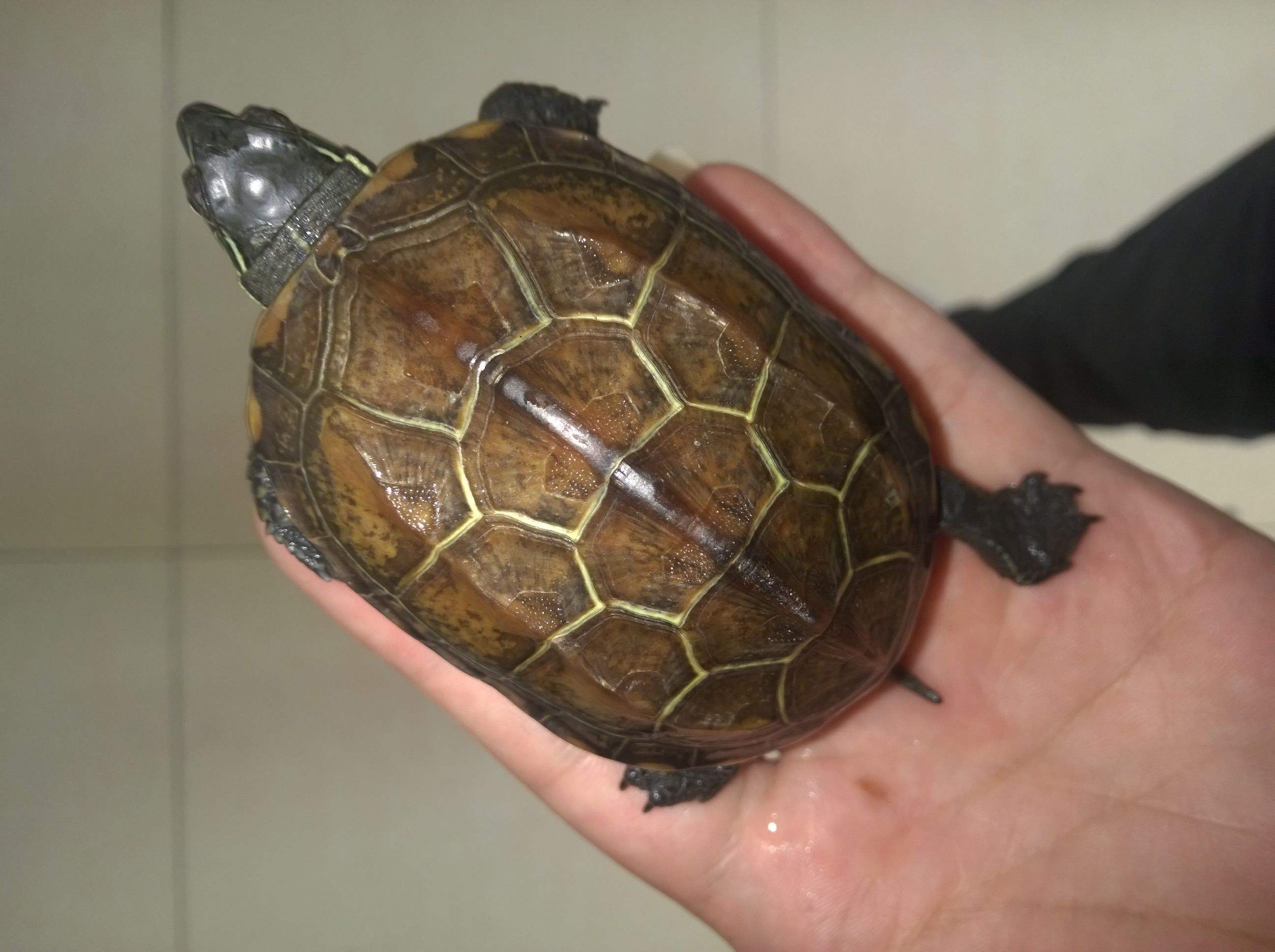 关键在于感受四季变化,最好是顺其自然