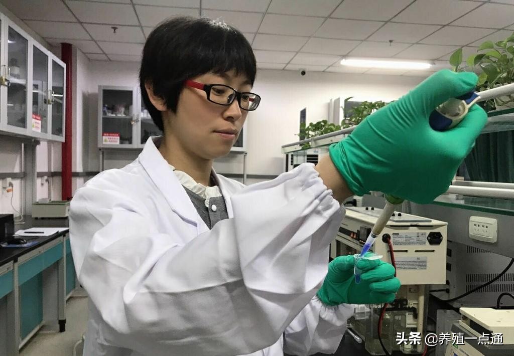 李地艳（女），四川农业大学教授、博导，动物遗传进化专家