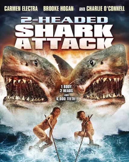 鲨鱼星球电影剧情「详解」