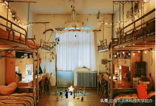 曝光！这，就是西北农林科技大学的7宗