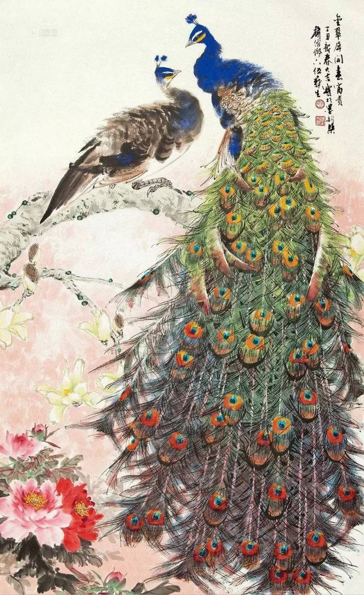 孔雀东南飞！高贵、冷艳的白孔雀