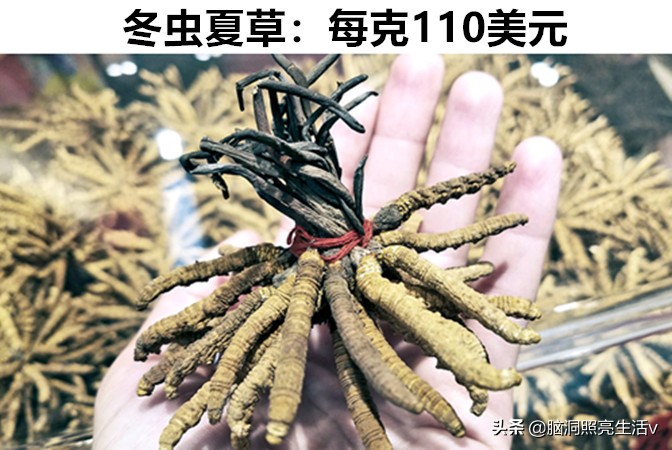 比黄金还贵？细数：在这个世界上比黄金还要昂贵的8个物品