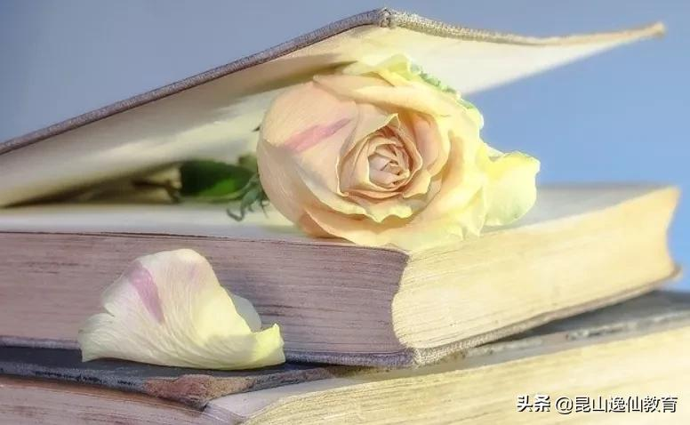 成人自考本科属于几本？成人自考和成人高考的区别？