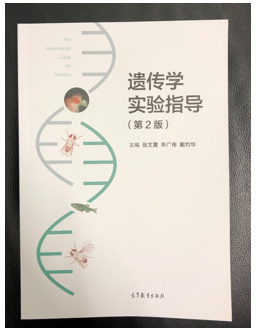 在北大，我们这样做慕课！