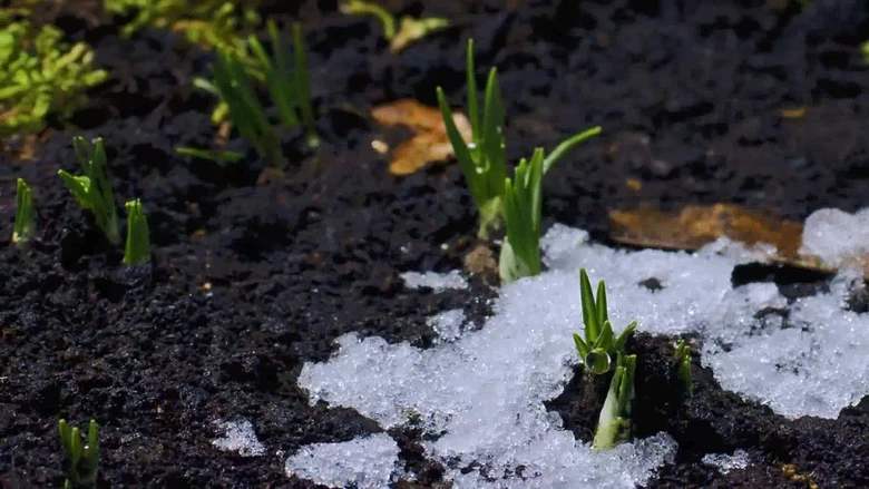 《说文解字》第269课：细说“遂”字