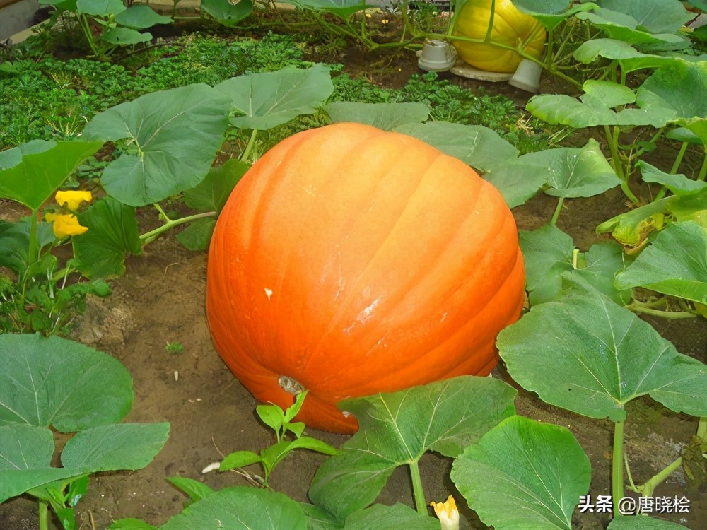 武汉十大旅游必去景点，赶紧先收藏起来呗