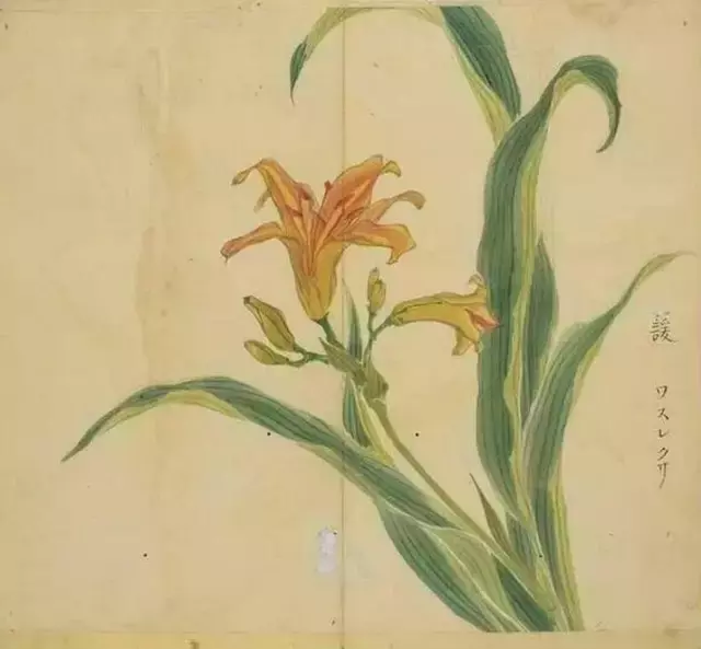《诗经》太熟悉了吧,但《诗经》里的这些字,你认识吗?