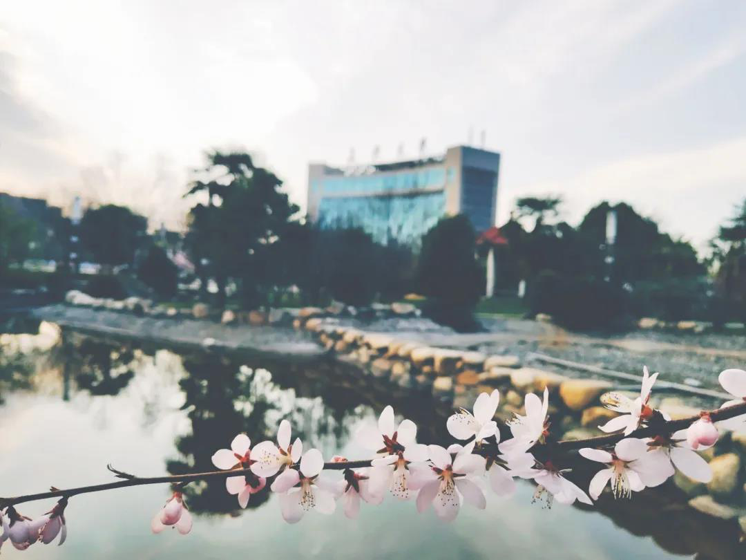 陕西最“豪华”大学之一！坐拥4大“网红”食堂，游泳馆、商业街一应俱全！