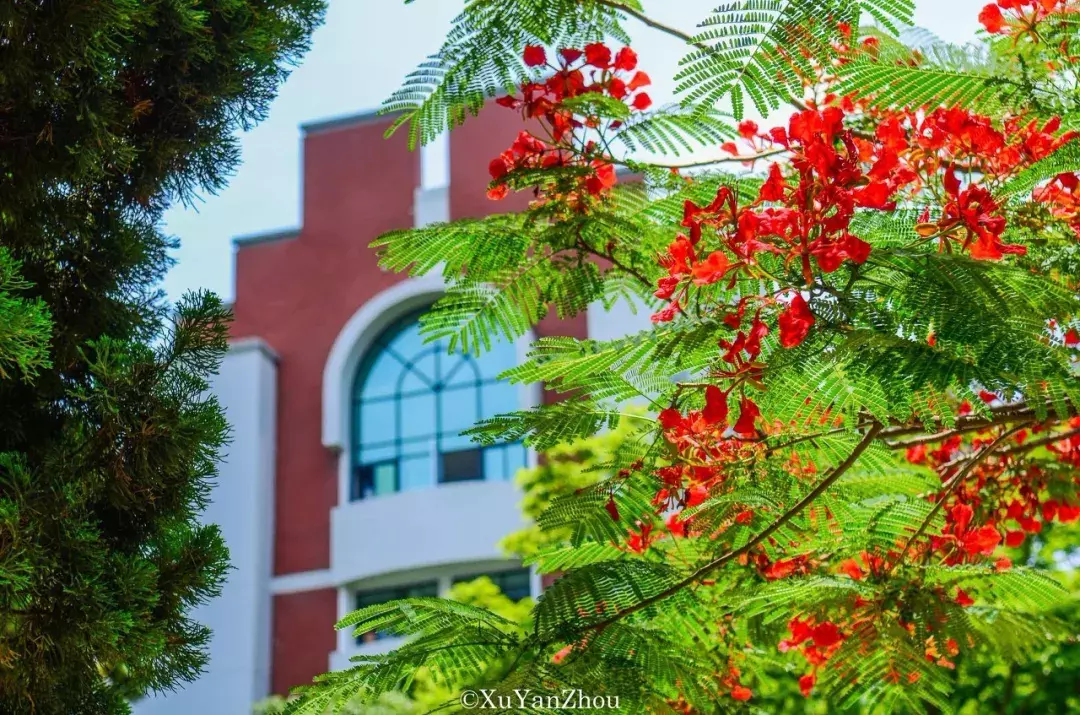 中国春天最美的10座大学，好想回去谈一场恋爱