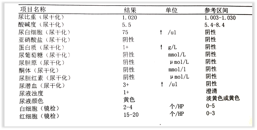 尿常規報告單怎麼看?一文教你輕鬆讀懂