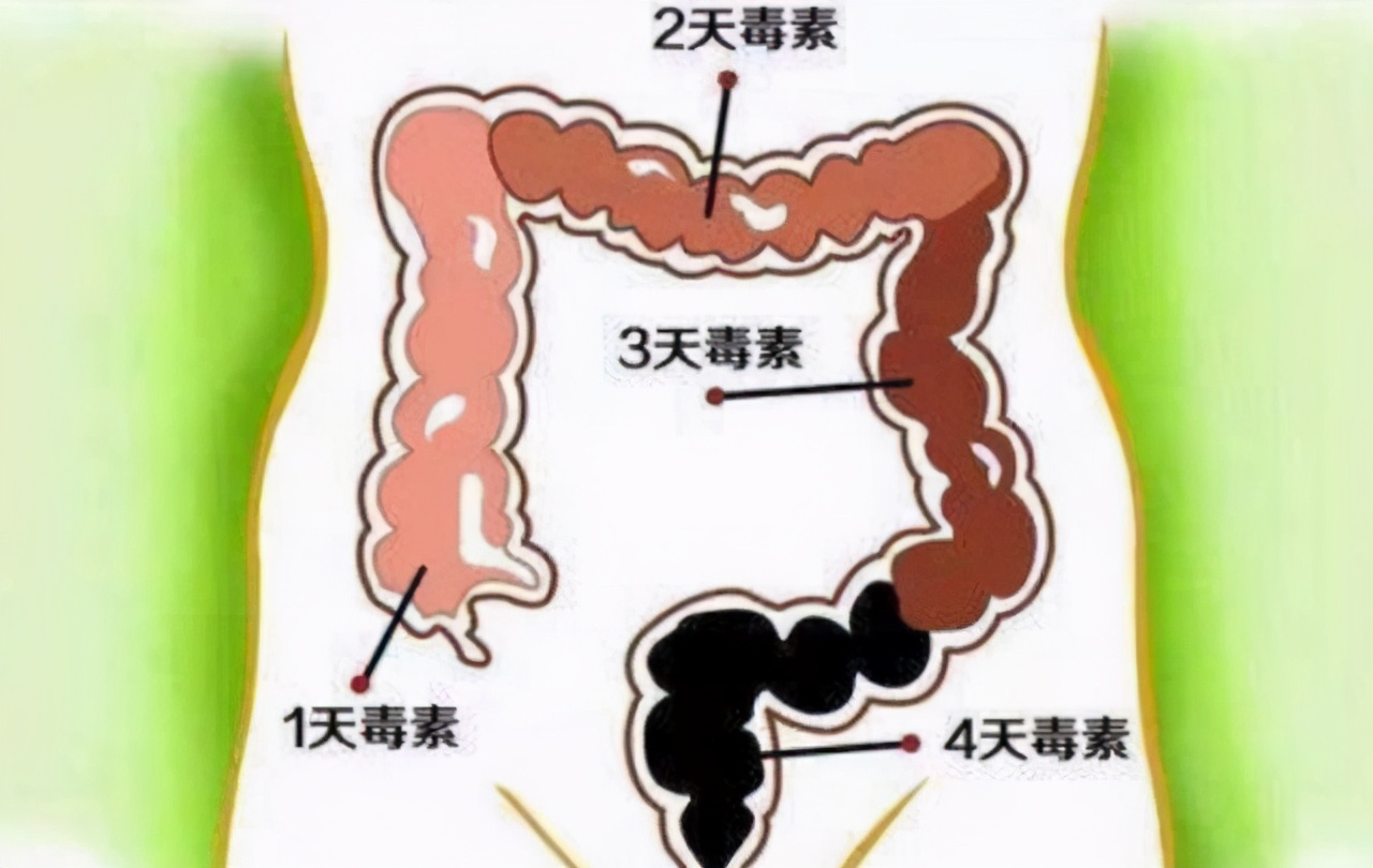 便秘的治疗方法(更年期便秘的治疗方法)-第1张图片-鲸幼网