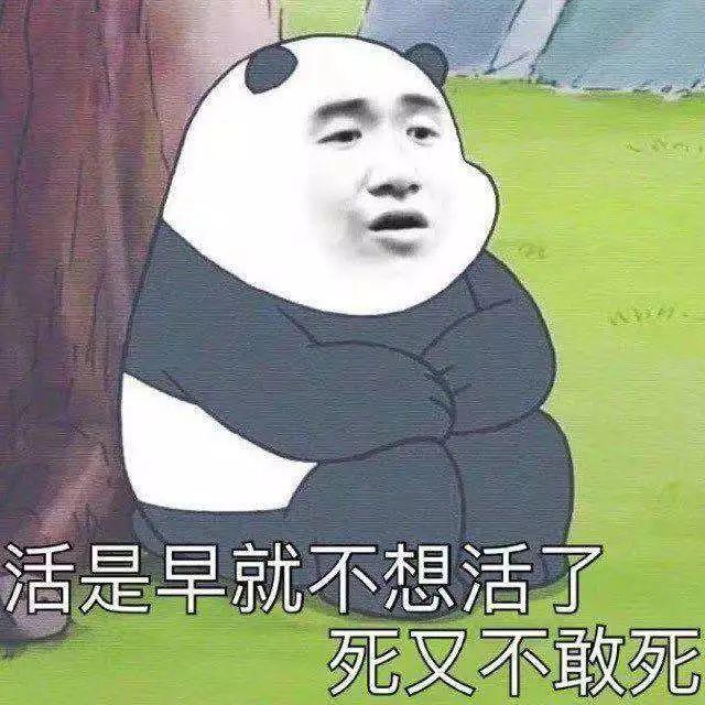 电影帝出山，9分都低
