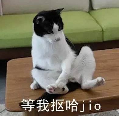 猫咪表情包25张｜我这一巴掌下棋你可能会死