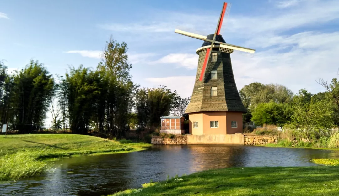 欧洲留学｜西部国家荷兰已成为学生留学国家的第一选择