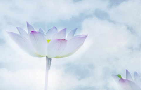 《菜根谭》：面对繁琐世事，懂得“独善其身”，才能豁然开朗