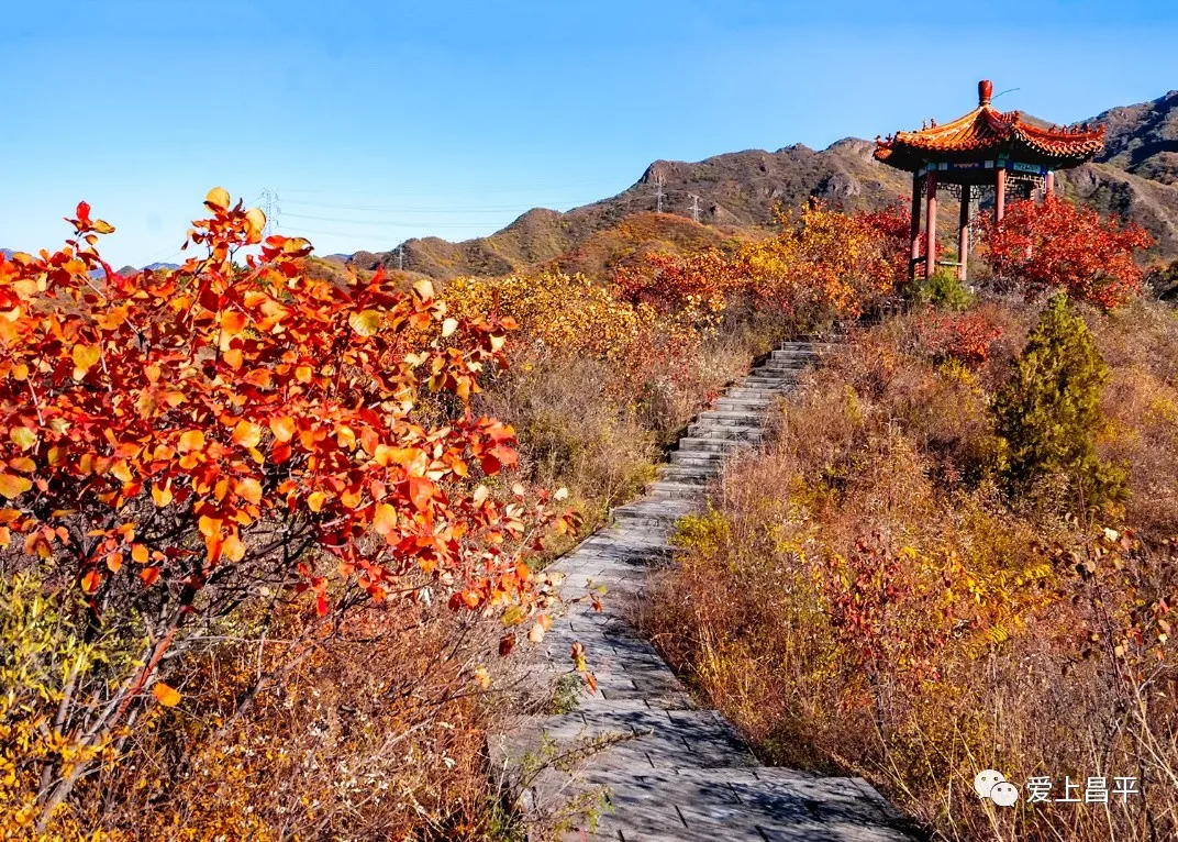 昌平旅遊景點(氣溫驟降) - 悅聞天下