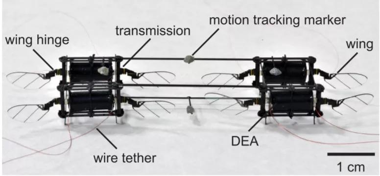 MIT青年科学家研发“昆虫无人机”，碰撞翻滚后也能立即复飞