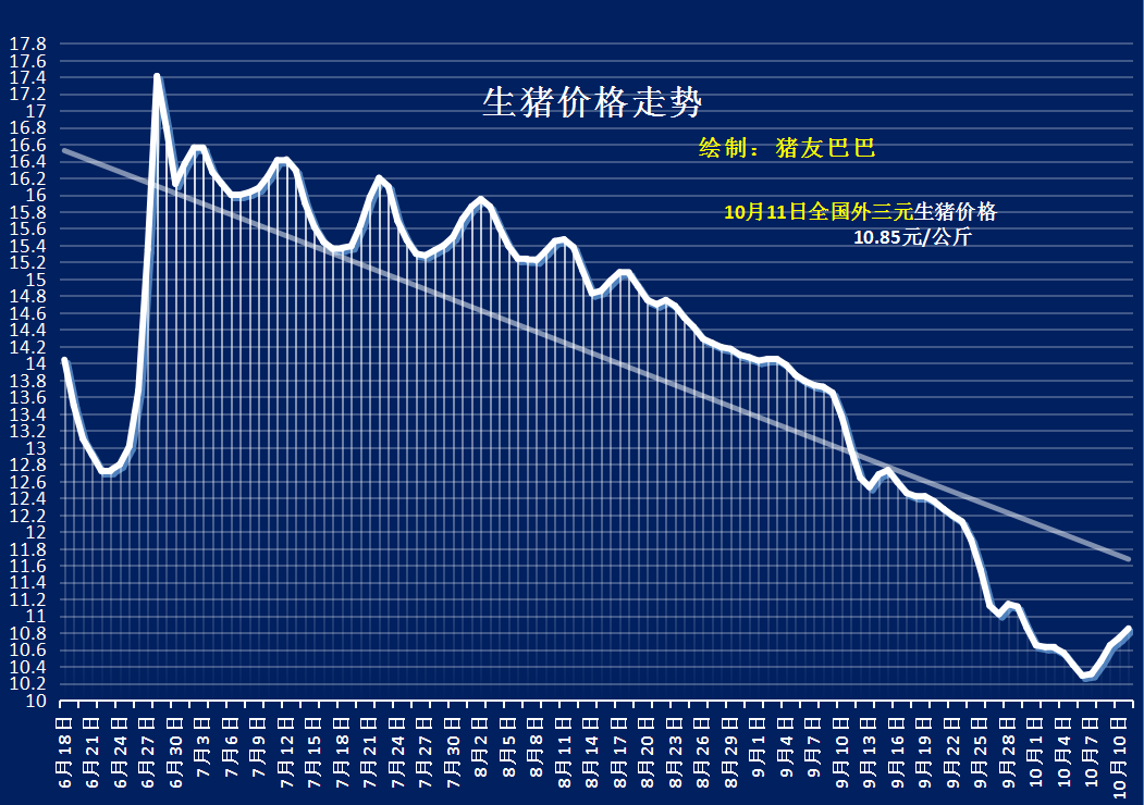 生猪价格大部上涨，全国猪市“一片红”！附10月11日猪价