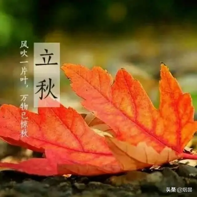 欣赏王维描写秋景的诗《山居秋暝》