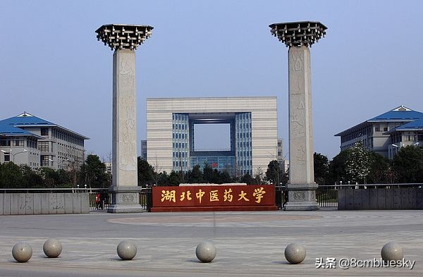 未来大有可为，中医药类高校大盘点（十六）——湖北中医药大学