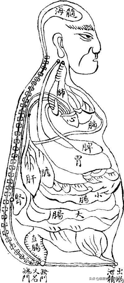 这位中国道士绘制了世界上第一幅人体解剖图