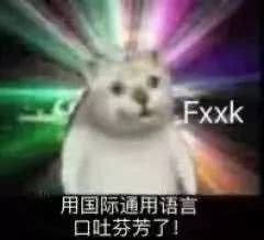 憨憨猫表情包合集｜奇怪的知识增加了