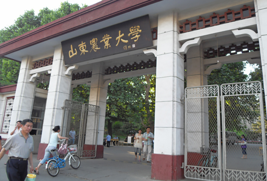 山东15所高等院校获支持，冲击第二轮双一流评选，学生快了解一下