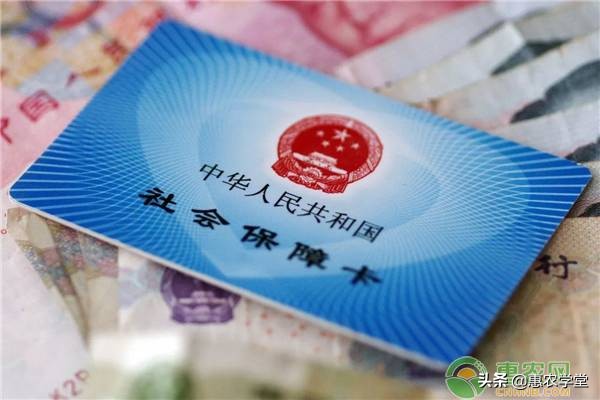 社保卡余额查询方法指南