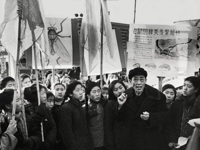 1958年的全民“剿雀”战：男女老少齐上阵，让麻雀几乎断子绝孙