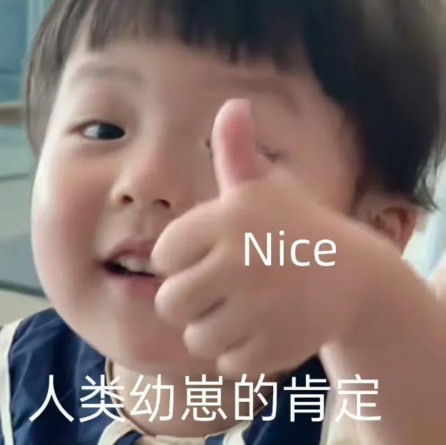 表情包：人类幼崽的肯定