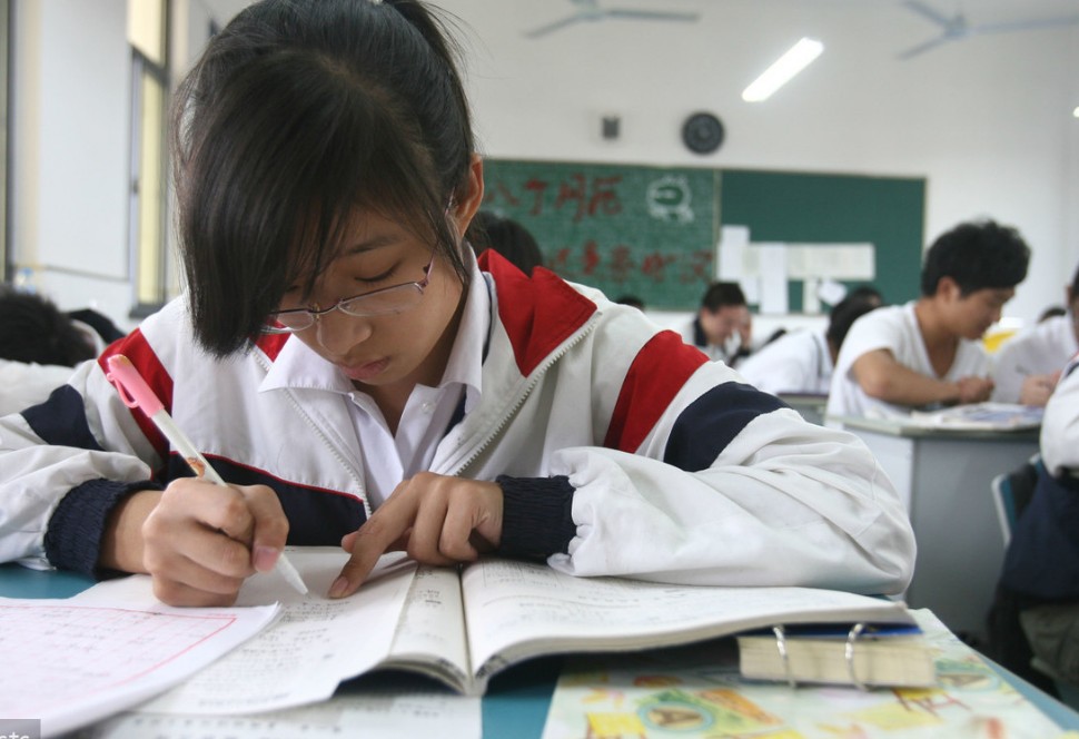 公立学校和私立学校（双减）