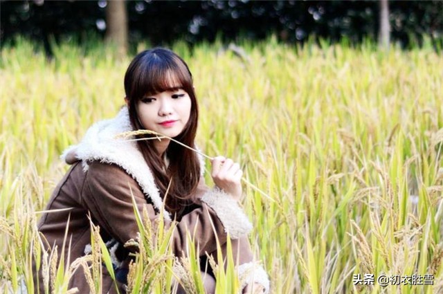 曹雪芹的理想国：一畦春韭绿，十里稻花香