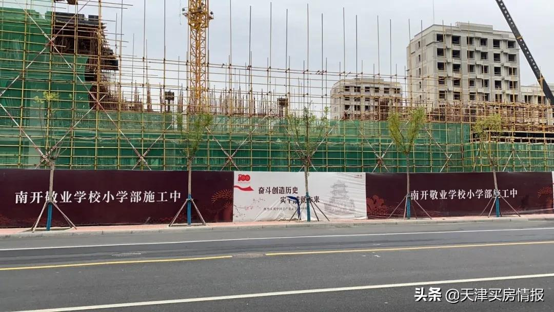 西青教育抖起来了？14个最新落地品牌学校大盘点