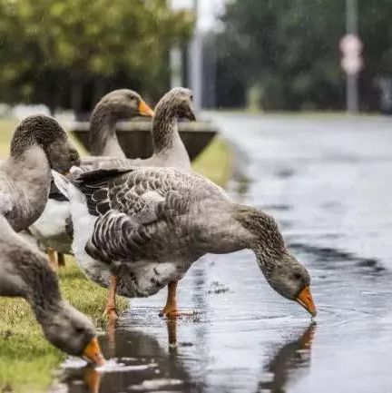 宁波诺丁汉大学官网（权威发布）