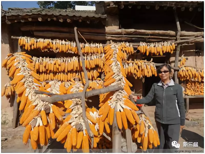 王晓光：我在姜太公钓鱼的地方当知青