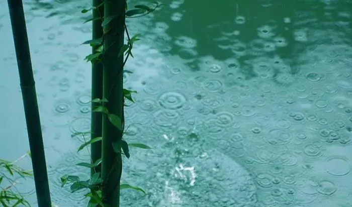 初夏最美的十首诗词：热烈活着，诗意生活