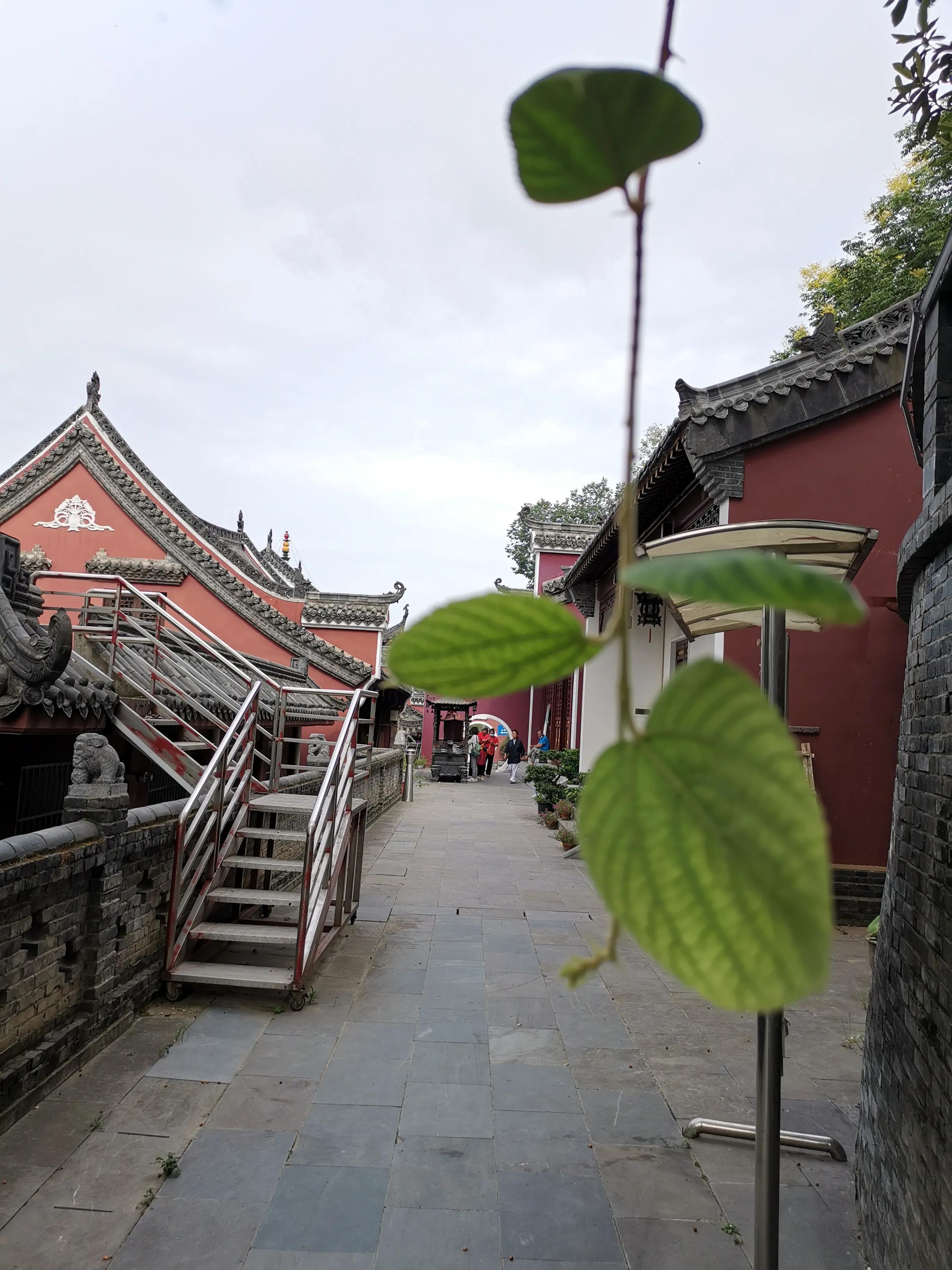 大隐隐于市-长春观